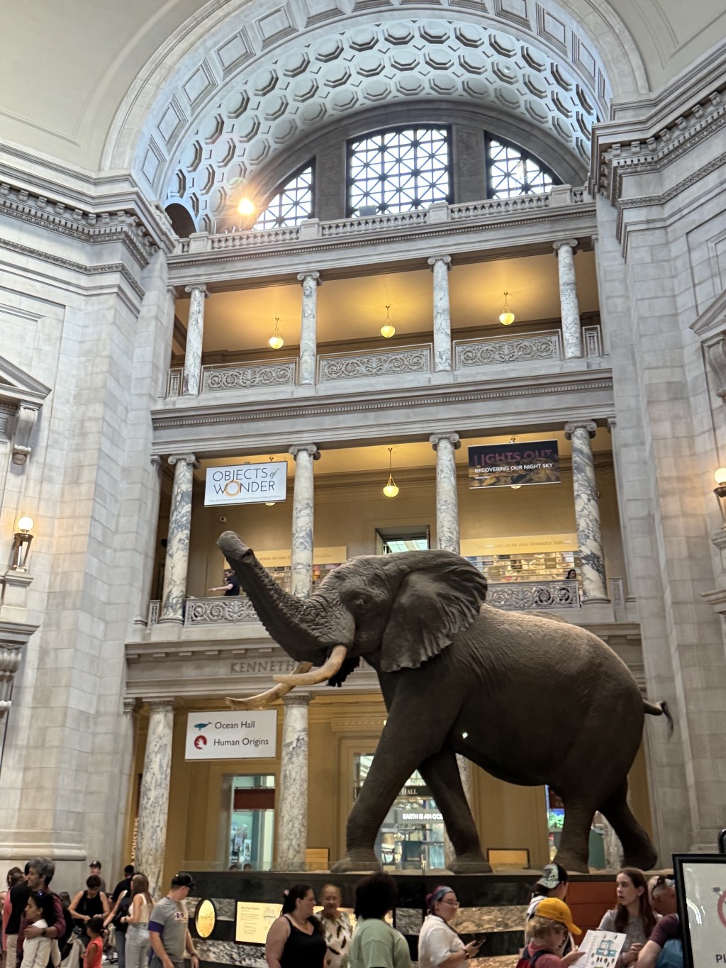 Elephant and architecture