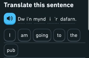 Cropped Phone screencapture of Duolingo app asking me to "translate this sentence": "Dw i'n mynd i'r dafarn." to which I've replied "I am going to the pub."