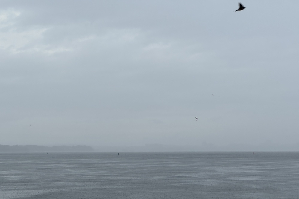 A misty lake scene with a few birds flying above the water.