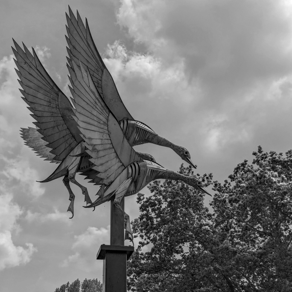 Black and white photo of a sculpture of three swans in flight. Tree foliage is visible in the bottom right, and clouds fill the sky