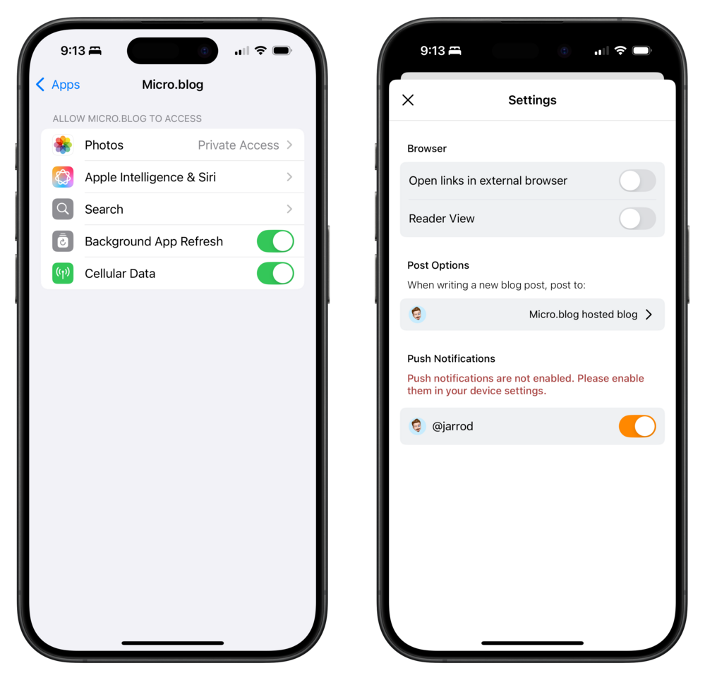 Two smartphone screens display settings. The left screen shows app permissions for Micro.blog, including Photos and Cellular Data toggles. The right screen shows Micro.blog settings, with browser, post options, and push notifications settings.