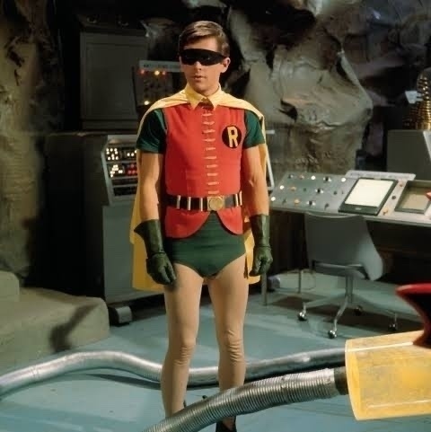 Robin