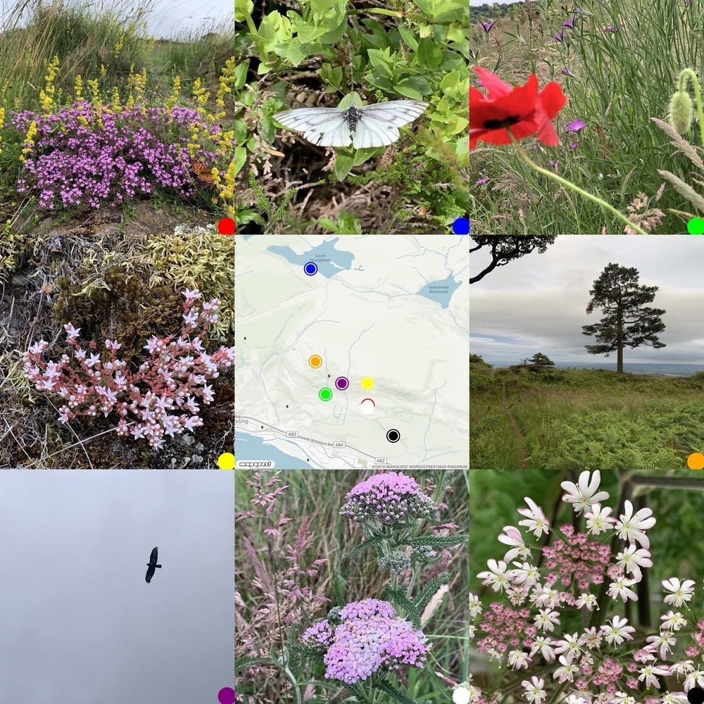 montage of 8 images surrounding a map, pictures of flowers and butterfiles, kilpatrick hills, scotland
