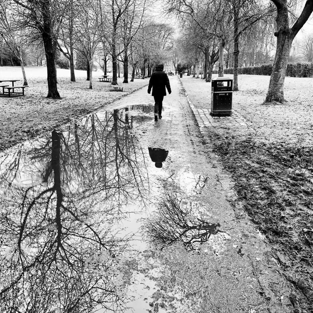 Puddles reflecting trees in the park. Mono. 