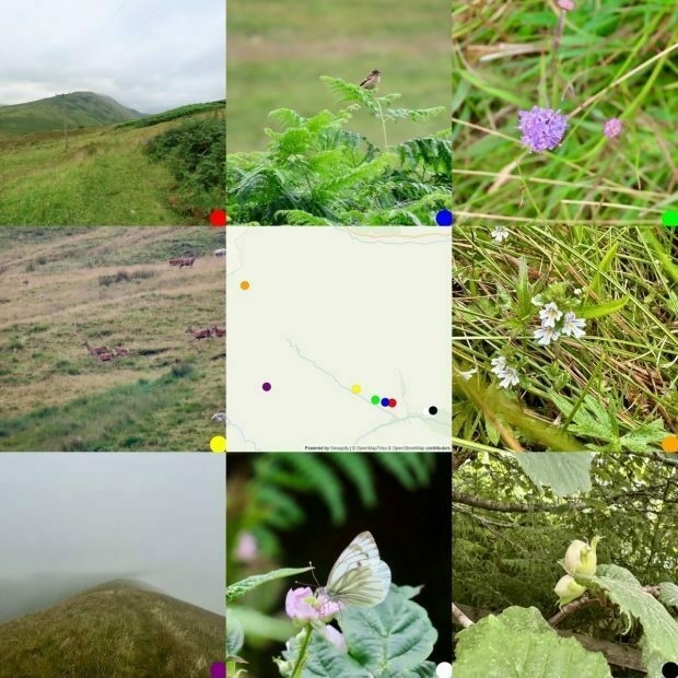 From Topleft: Track on Glen Mollochan; Stonechat on bracken; Devil's bit Scabious flower; small group of red deer on hillside; map; eyebright; along Beinn Eich in the clouds; Green-veined White; a pair of green hazel nuts.