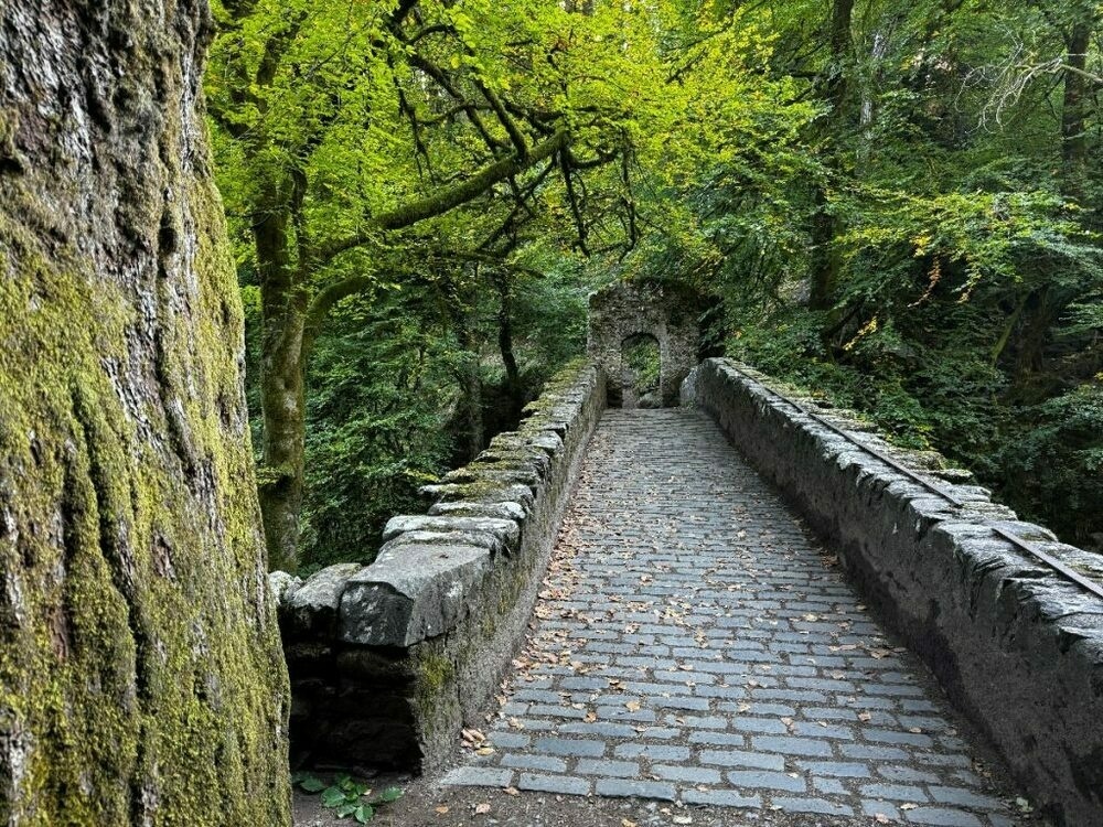 Stone bridge in a forest leading to an archway, surrounded by green trees and moss.