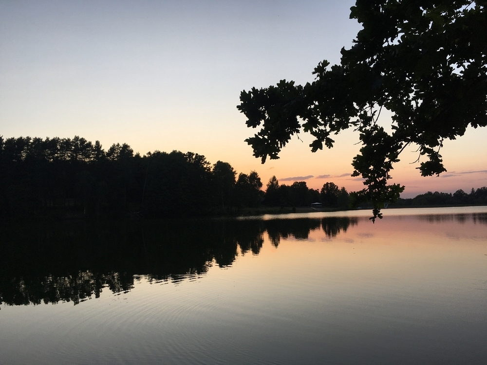 Snapshot across a lake with trees on each side of it and a sunset in the background