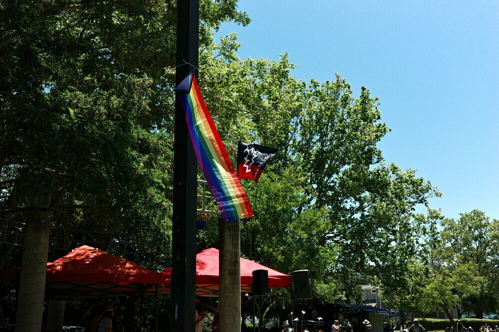 Pride rainbow flag hanging on a light pole. Trees in the background.