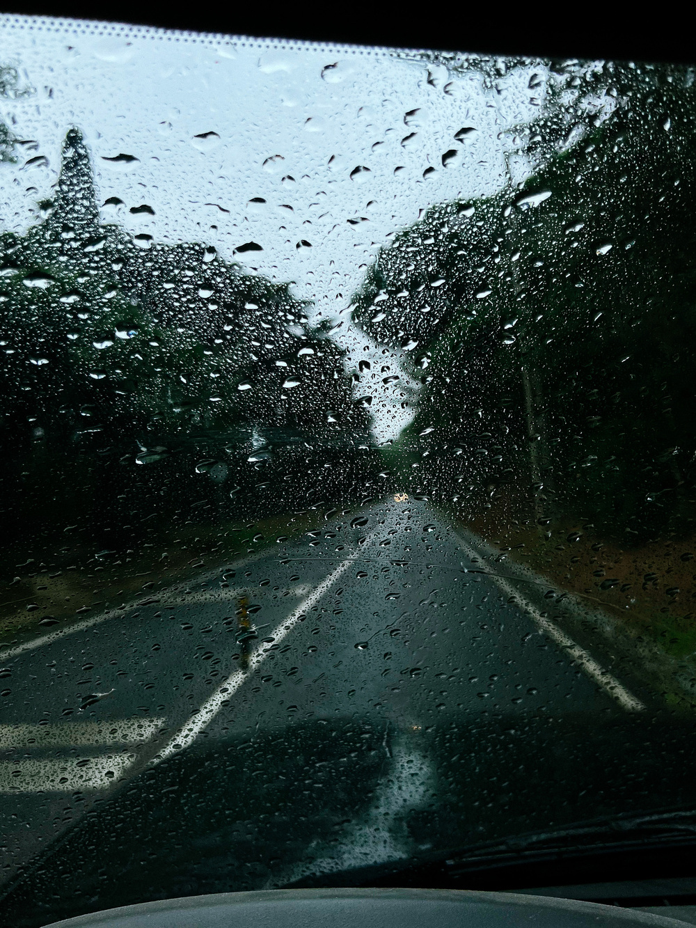 Rain on a windshield, with the road in front of us. Forest road, with trees on both sides. 