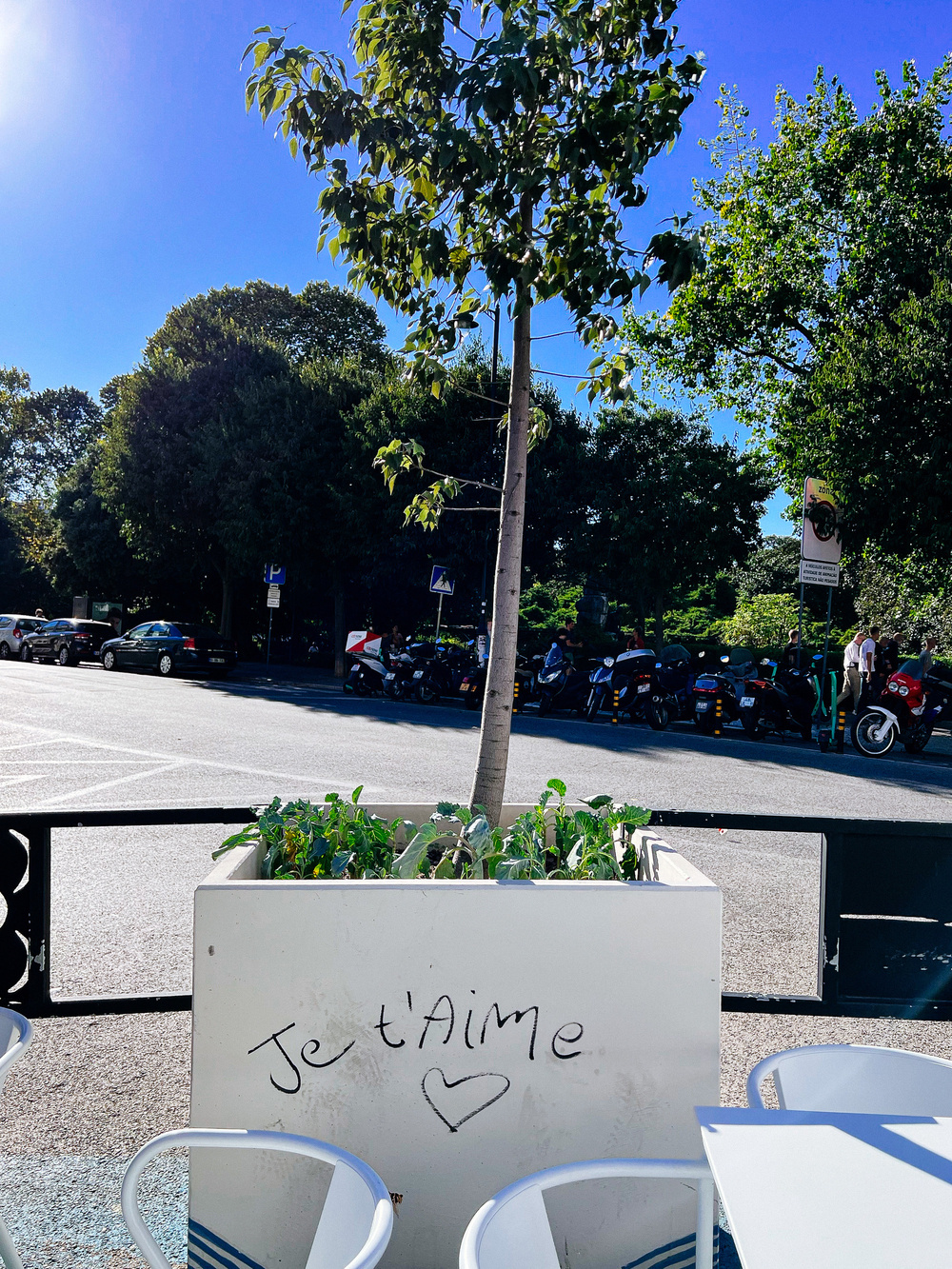 a potted plant in the city. Written on the pot: Je tâ€™aime.
