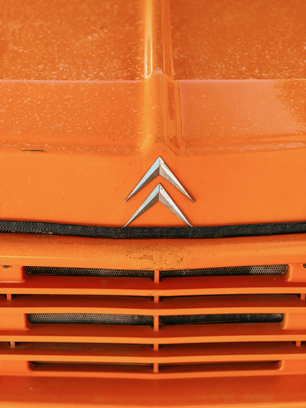detail of Citroën Méhari