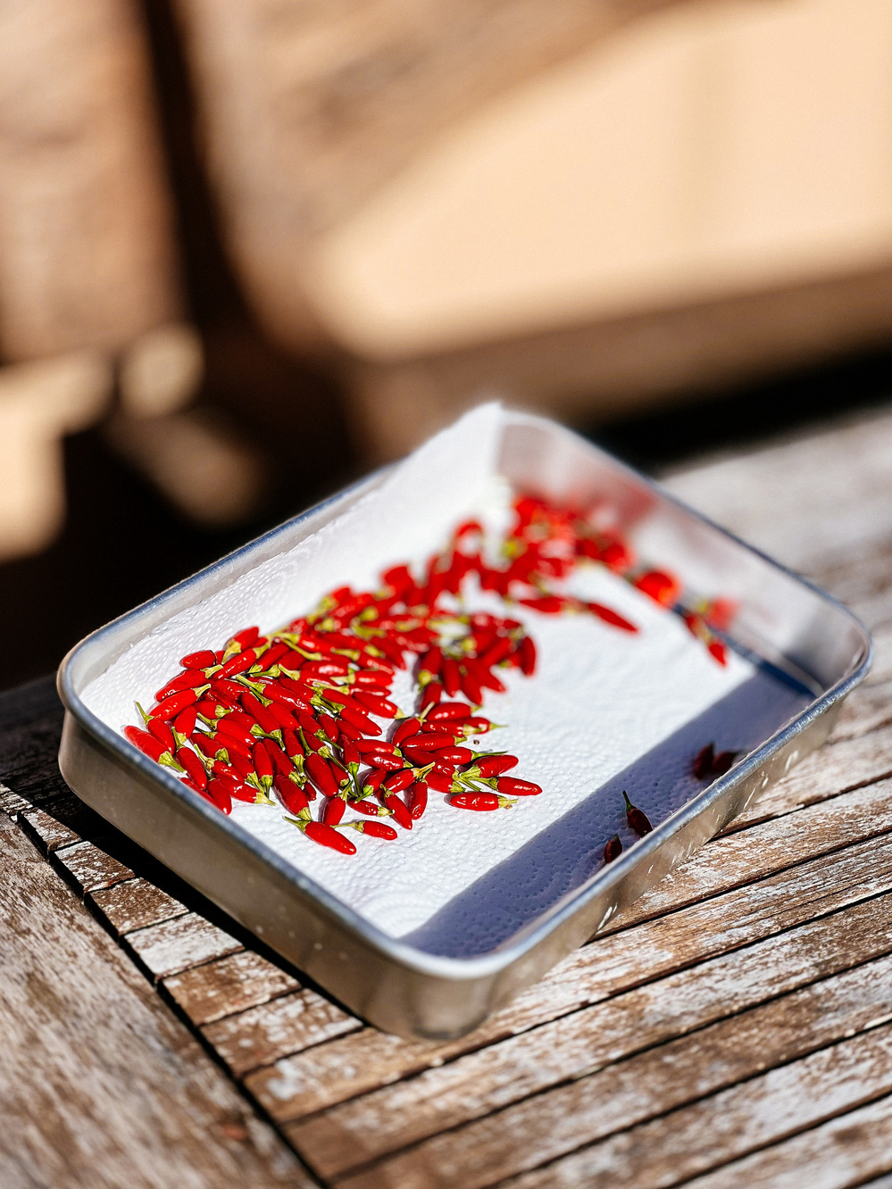 Chilis drying.