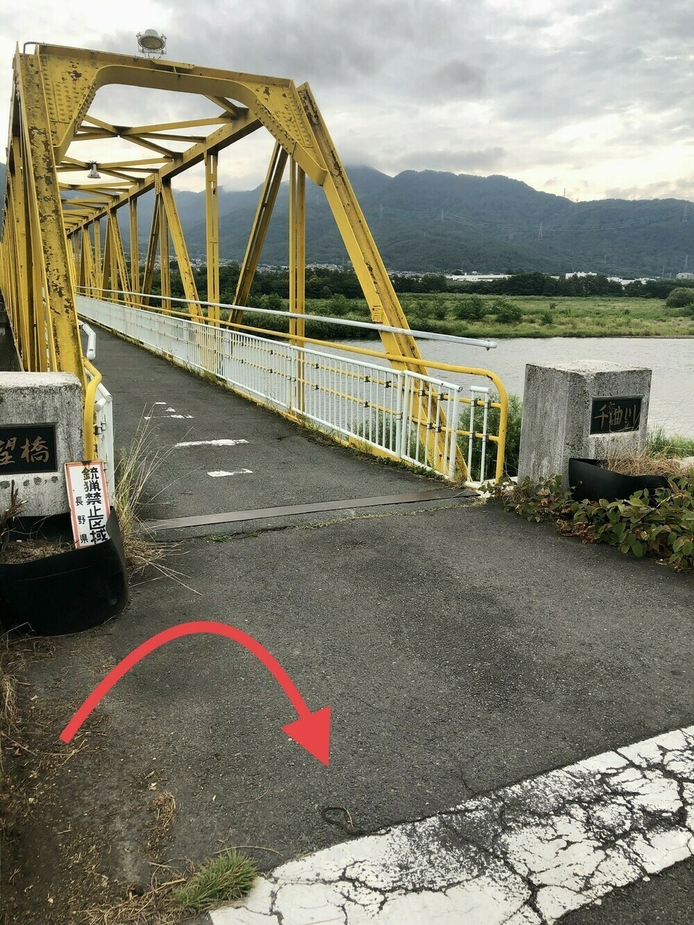 Dead snake on pavement in front of bridge with river and mountains in background 