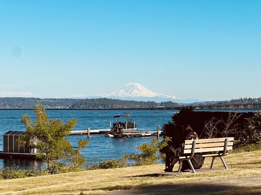Lake Washington with Mt Rainier in the background on a clear, warm summer evening. A person sits on a bench with a black dog in the foreground.