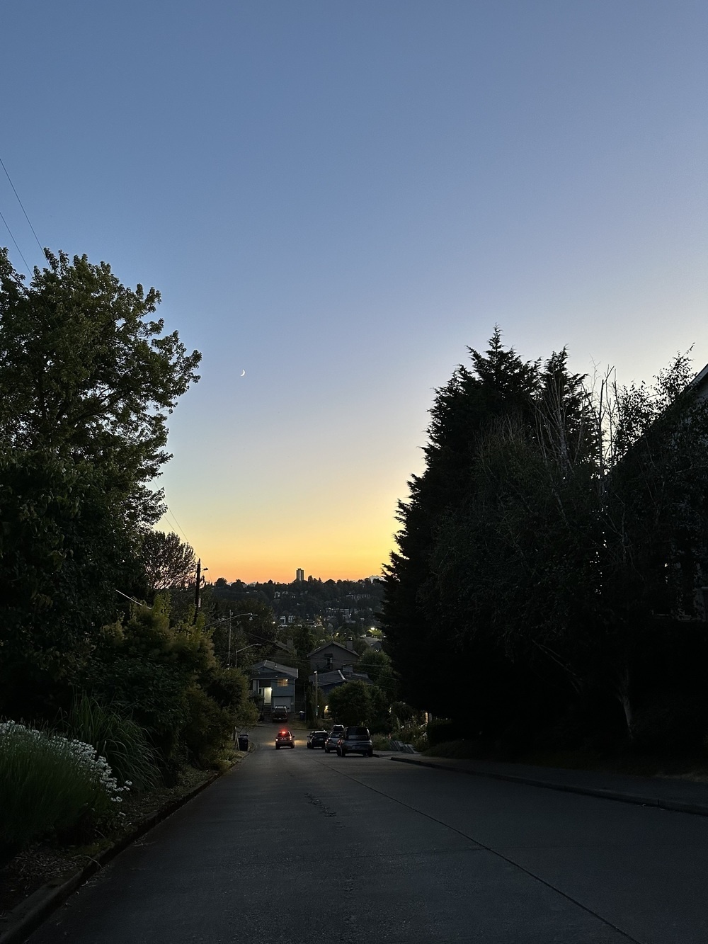 A hill leads away towards a distant city skyline. It’s a steep hill, darkening homes and trees sit on each side, and the horizon is faintly orange. There is a tiny sliver of moon above the horizon. 