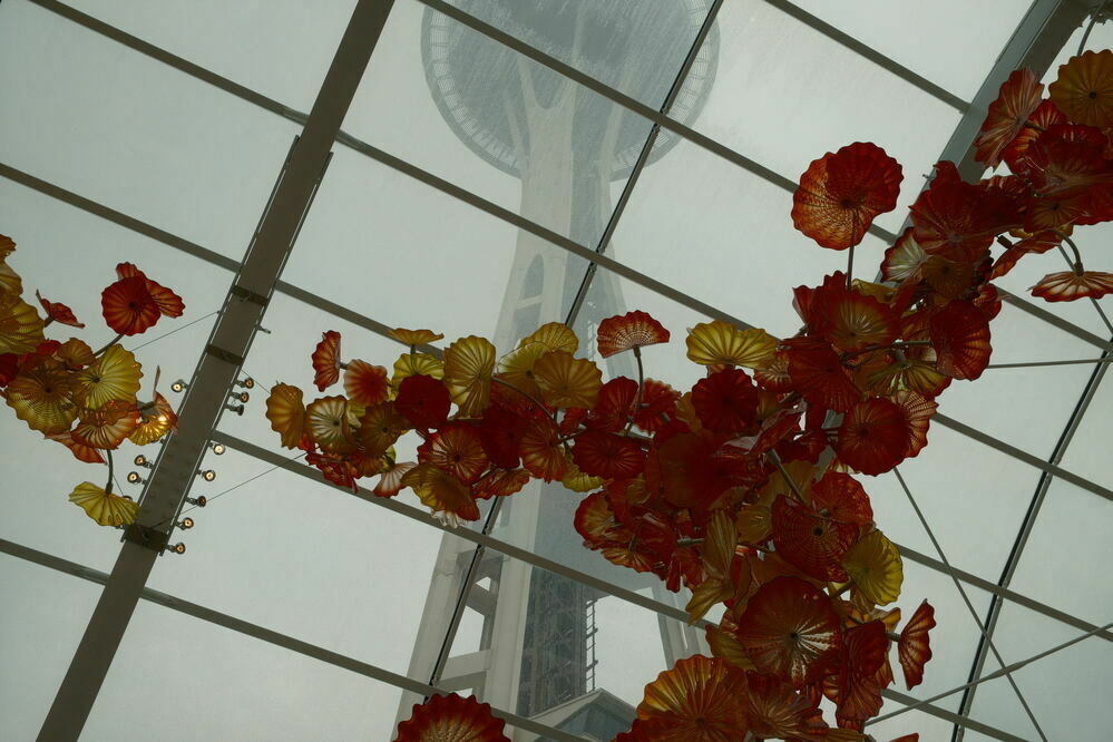 An array of yellow and orange glass flowers hand suspended in front of a glass roof. Behind the roof the top of the Space Needle rises in the background.