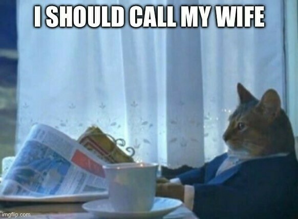 Cat in a business suit, sitting at a kitchen table with a cup of coffee and a newspaper, staring off in the distance. Text at the top reads: I should call my wife. 