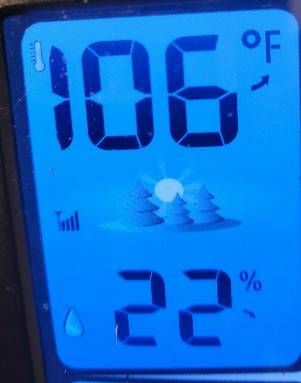 Thermometer reading 106F