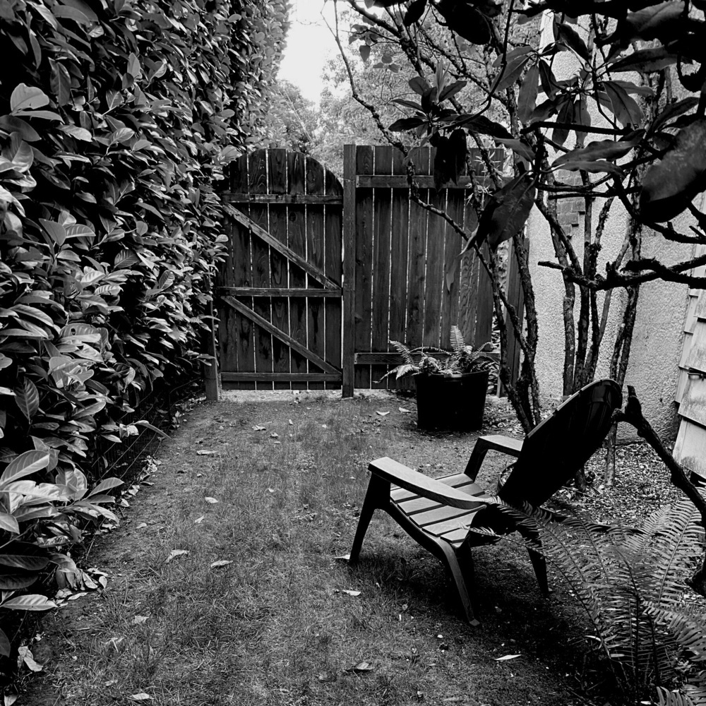 Backyard nook with gate, hedge, Adirondack style chair. 