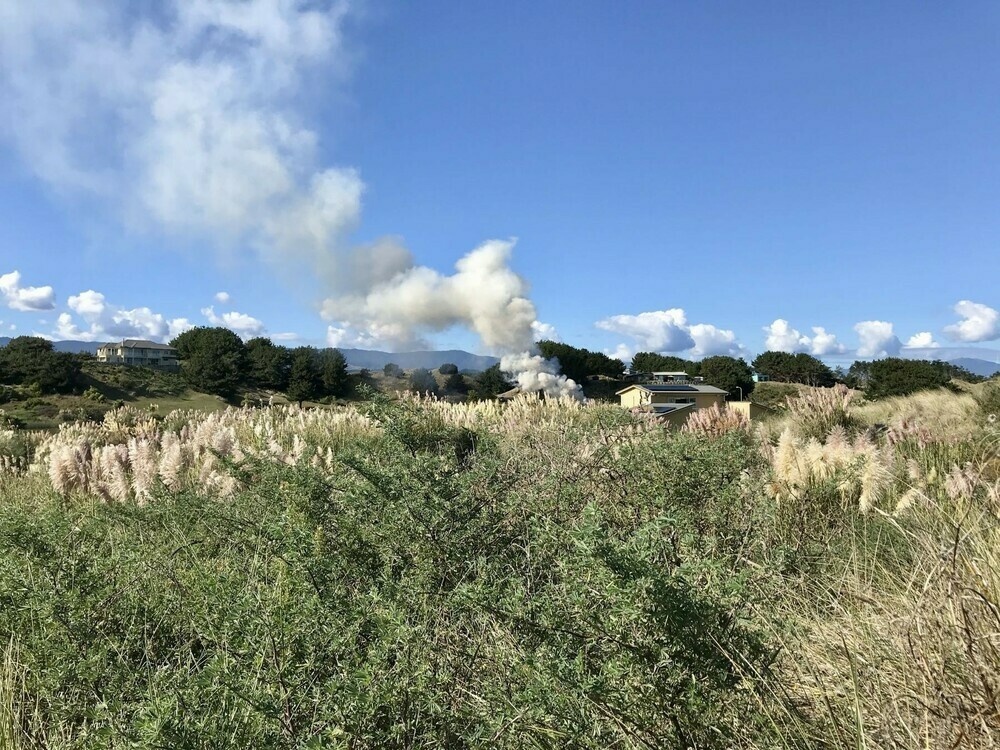 March 2019 smoky garden rubbish fire. 