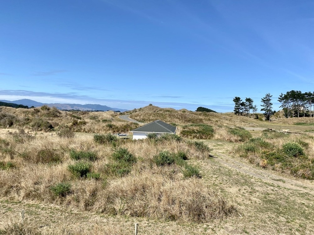 Brown grass and dry land.  