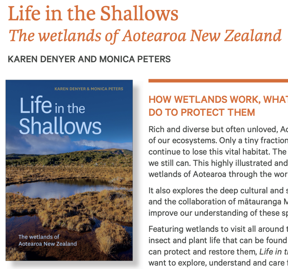 Book cover and part of the blurb (screenshot). 
