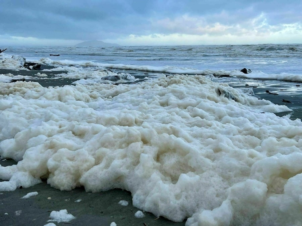 A big pile of sea foam. 