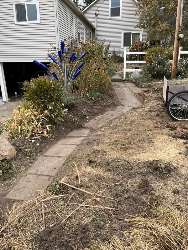 Auto-generated description: A partially dug-up yard features a concrete pathway leading to a house, with surrounding plants and a wheelbarrow nearby.