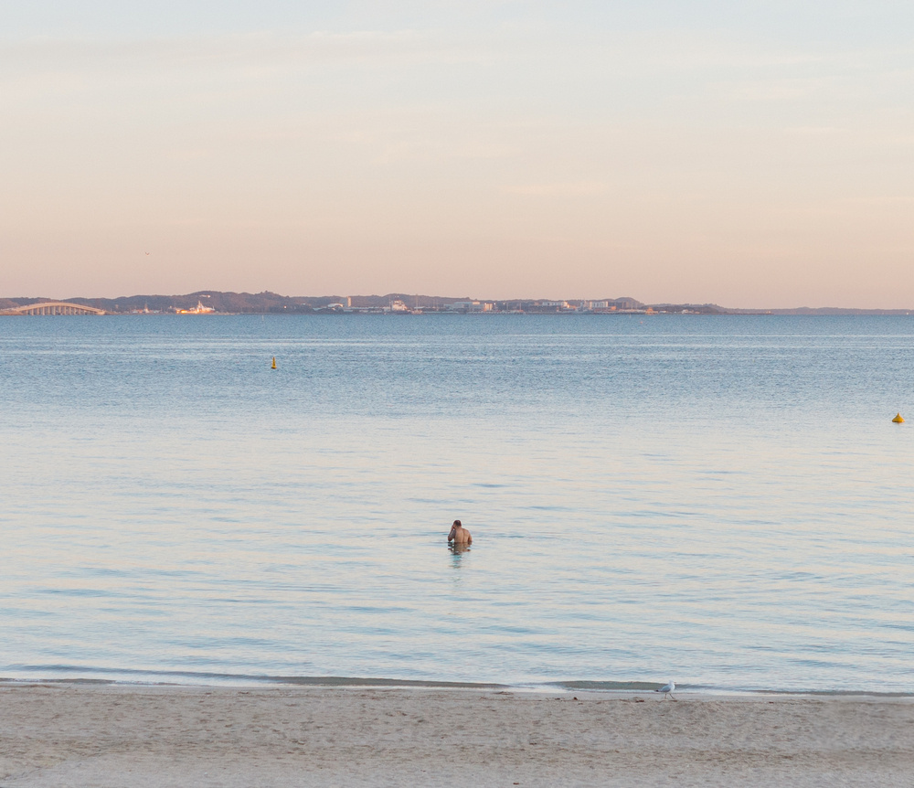 Auto-generated description: A solitary person is wading in calm sea waters near a sandy beach with a landmass visible on the horizon during what appears to be dusk or dawn.