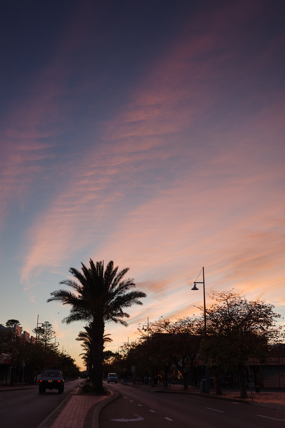 Auto-generated description: A serene road is illuminated by a picturesque sunset sky, featuring a prominent palm tree in the center and streetlights on either side.