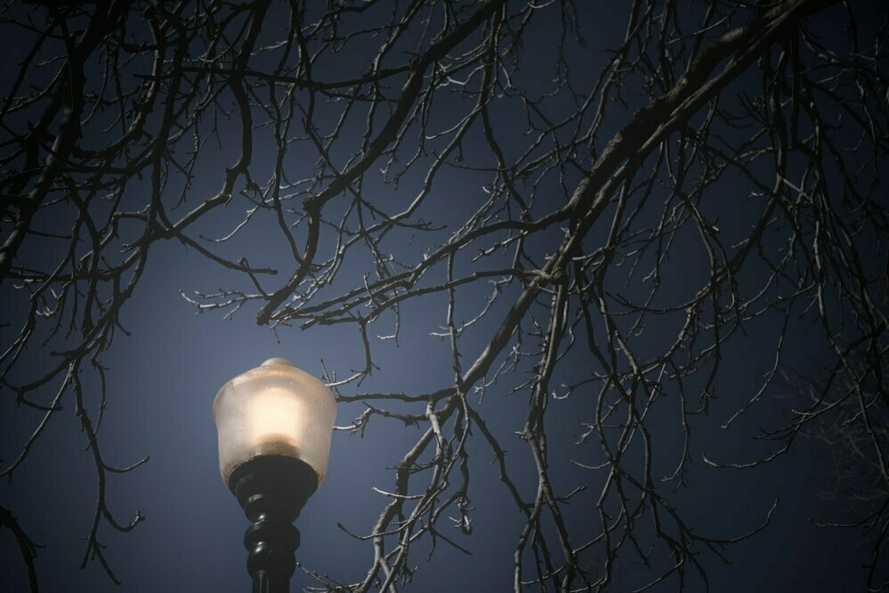 This is a serene image capturing the interplay between nature and human-made light. In the foreground, there's a lit lamppost with a warm glow, standing out against the darker backdrop. The lamp is classic in design, mounted on a post that tapers towards the top. Its light seems to be diffused, perhaps due to the texture of the glass or the outdoor conditions.

The background is filled with a network of bare tree branches silhouetted against a twilight or night sky. The branches crisscross the frame, creating an intricate natural pattern. The sky appears dark blue, indicating that the photo was possibly taken during dusk or dawn, or that it’s simulating a nocturnal scene. There's a subtle contrast between the starkness of the bare branches and the soft luminescence of the lamp. The angle of the shot, looking up towards the sky, gives a sense of quietude and introspection.