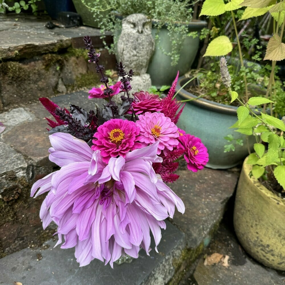 Vase full of fresh flowers sitting in the same spot. All of them are in a purple to pink palette, with zinnias, celosia, purple basil, and a giant dahlia.