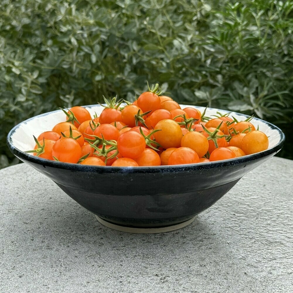 Large bowl viewed from the side, with white glazed interior, black exterior, with a middle stripe without glaze, but covered in shiny iron oxide stain.