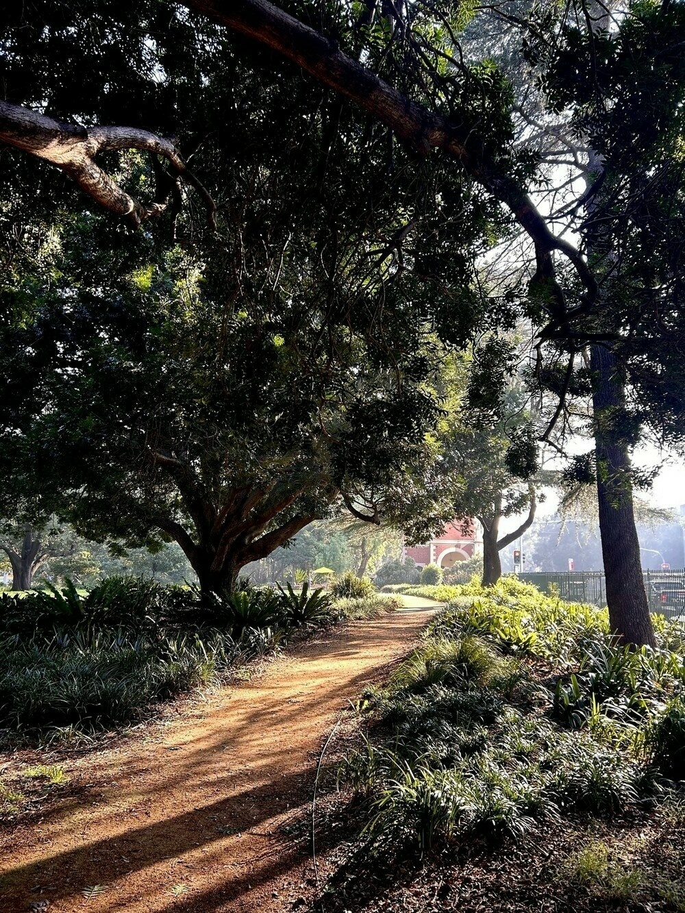 A path between trees. Beyond there is sunlight and the outline of a building. 