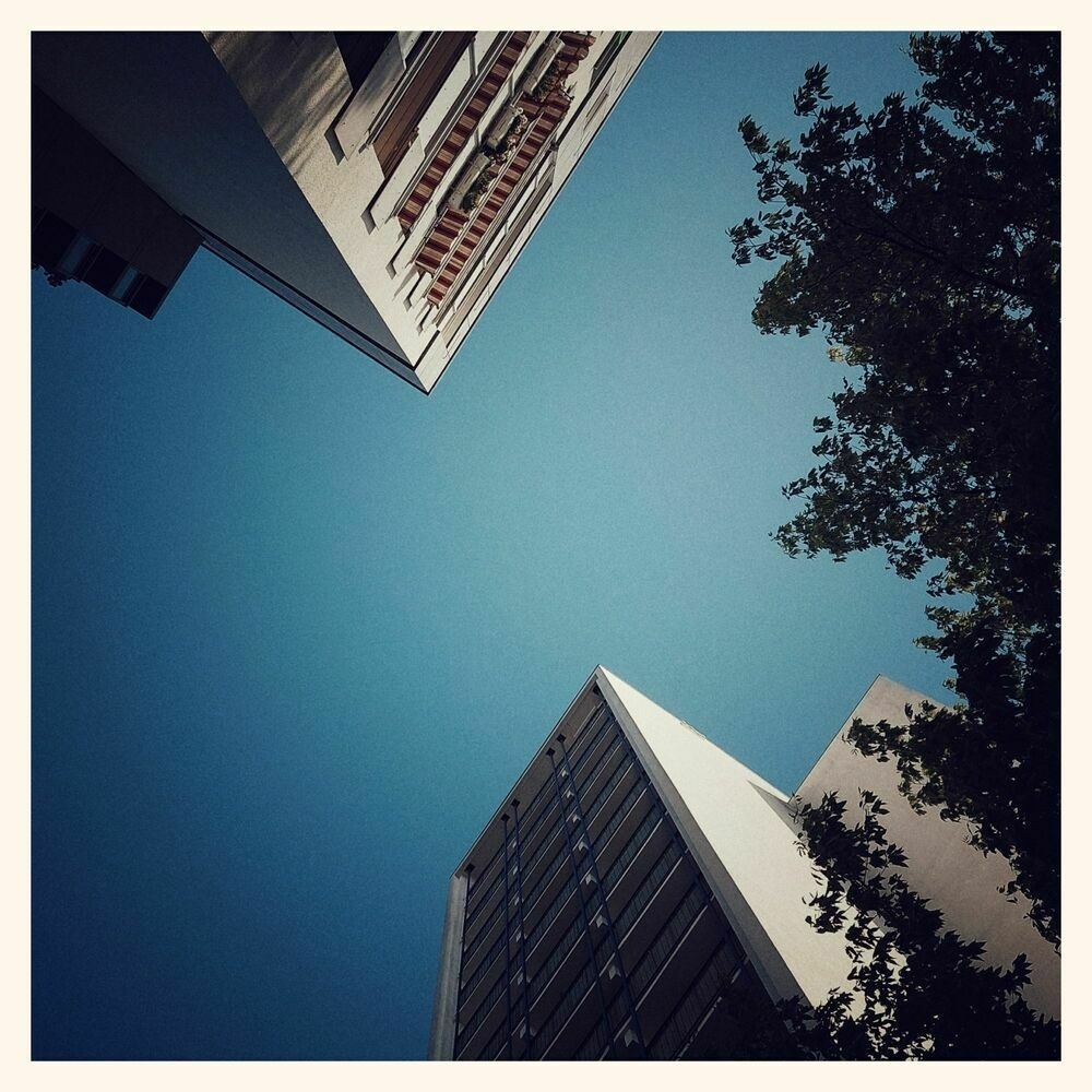 Blue sky above two high-rises. And a tree.