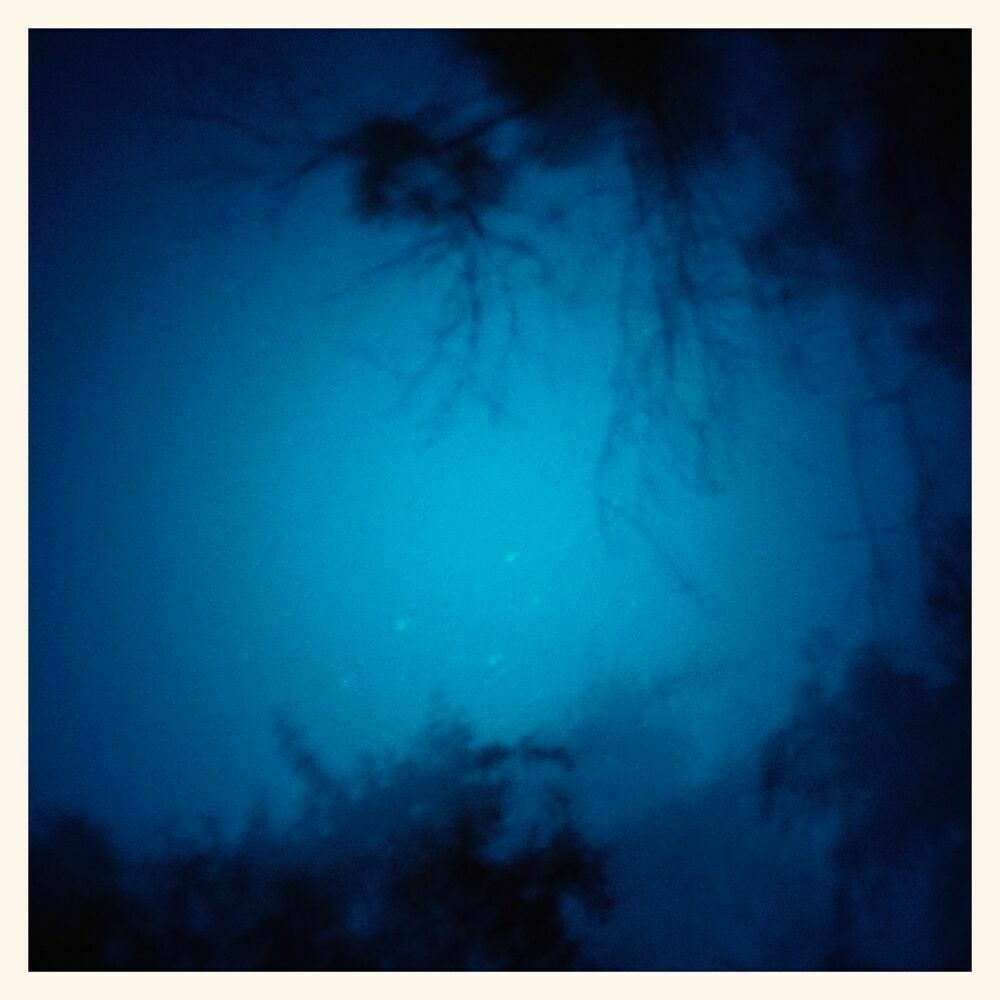 Blurred trees in a long exposure shot. Blue nightsky, a few stars.