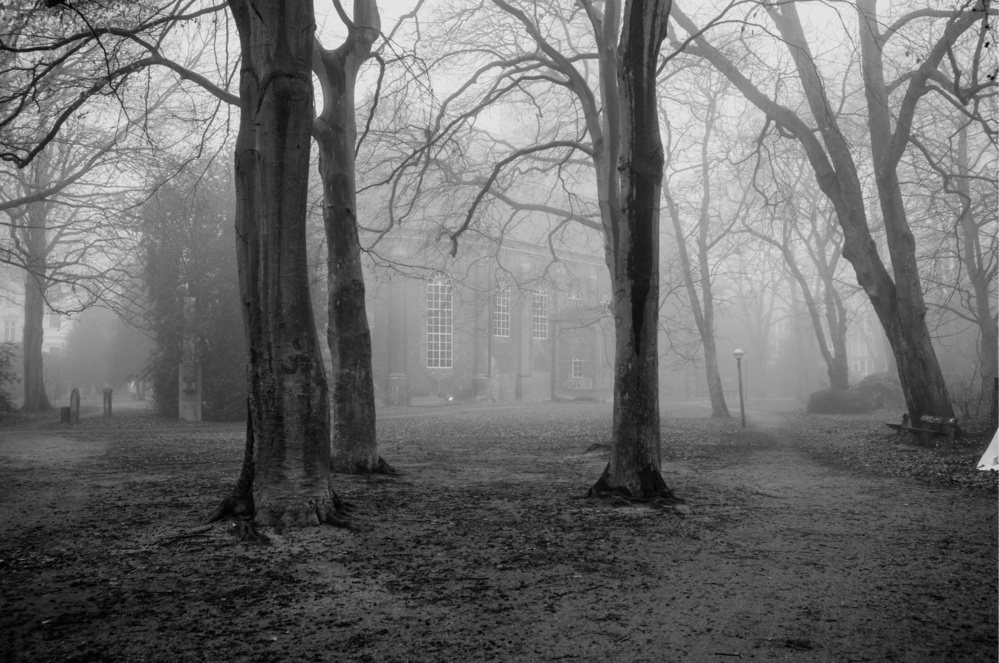a  hurxh in the mist with some trees