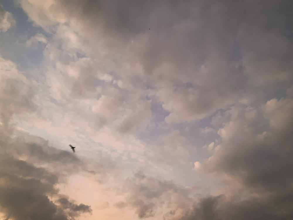 photo of blue sky almost covered with clumpy and wispy clouds from pale to medium grey, with peach and orange highlights, and a bird flying toward the bottom left corner of the image.