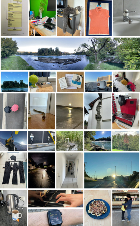 A collage of all 30 of my photos for the 2023 mbsept photo challenge. The images cover a variety of subjects and are ordered in a grid. Not all images are the same size.