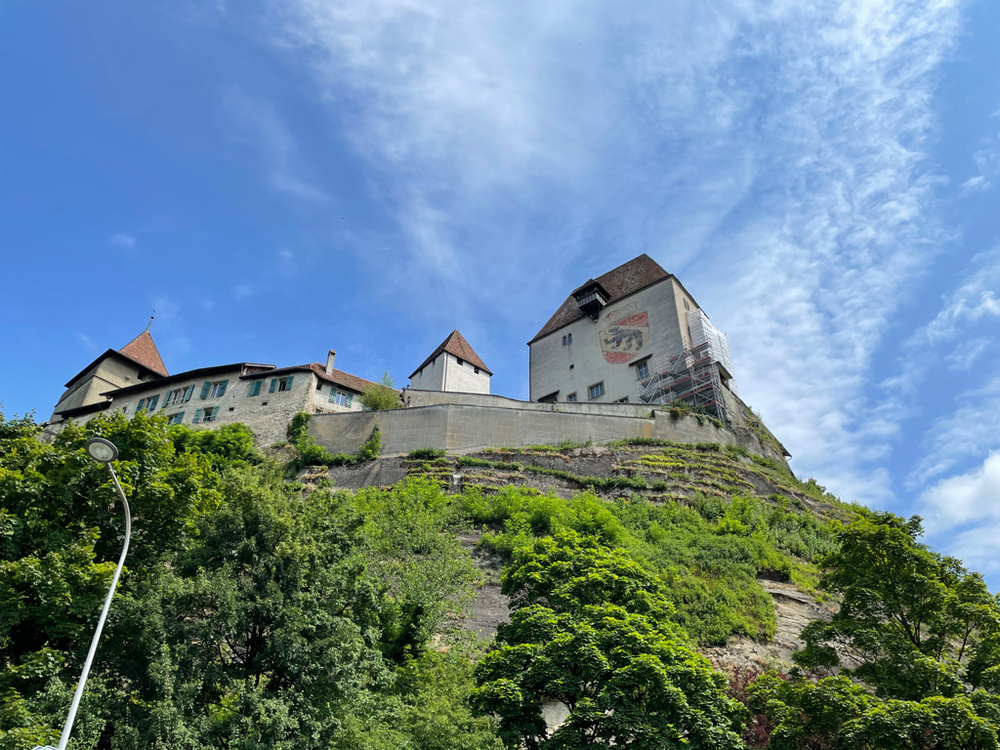 A wide shot of a castle on a hill. The hill is steep and covered in green foliage. At the top end the castle wall starts, built from stone. And some of the castle towers are visible as well.