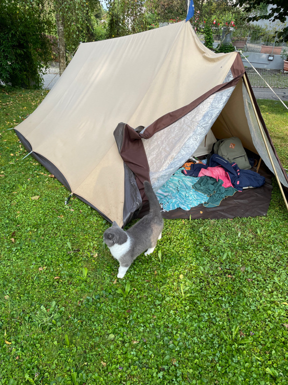 A tent in the graden with a cat in front of the open tent door.