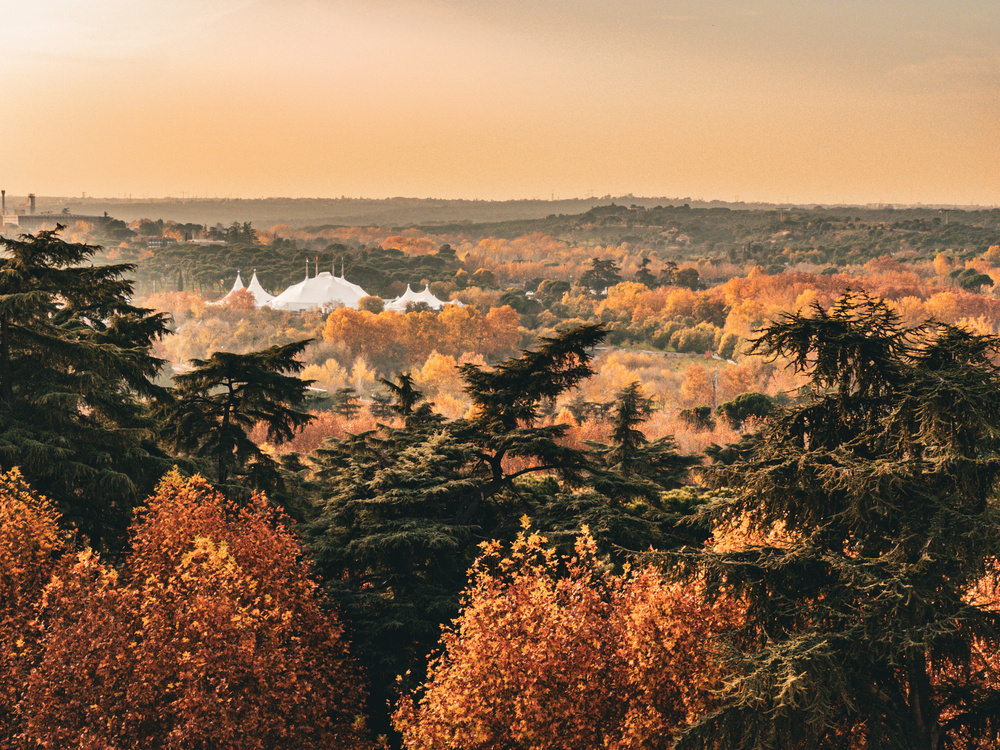 White tent structures nestled among dense, colorful autumn trees under an orange-tinted sky, creating a serene, picturesque landscape.