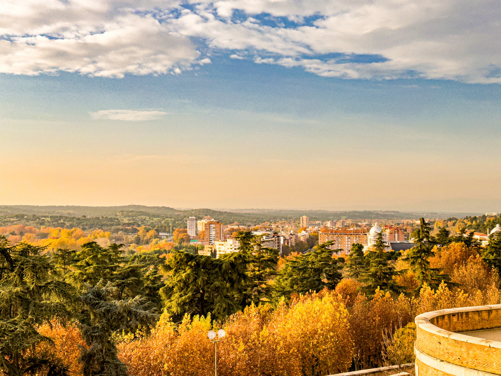 Tall trees with autumn foliage stand beneath a golden sky, overlooking a city with modern buildings nestled among the landscape, creating a serene, panoramic view.