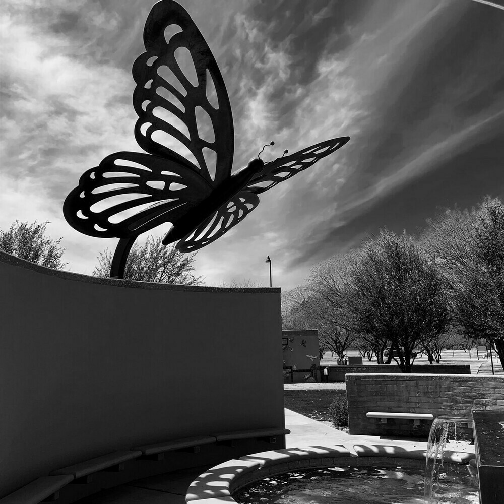 Giant butterfly public art sculpture at Brandi Fenton Memorial Park