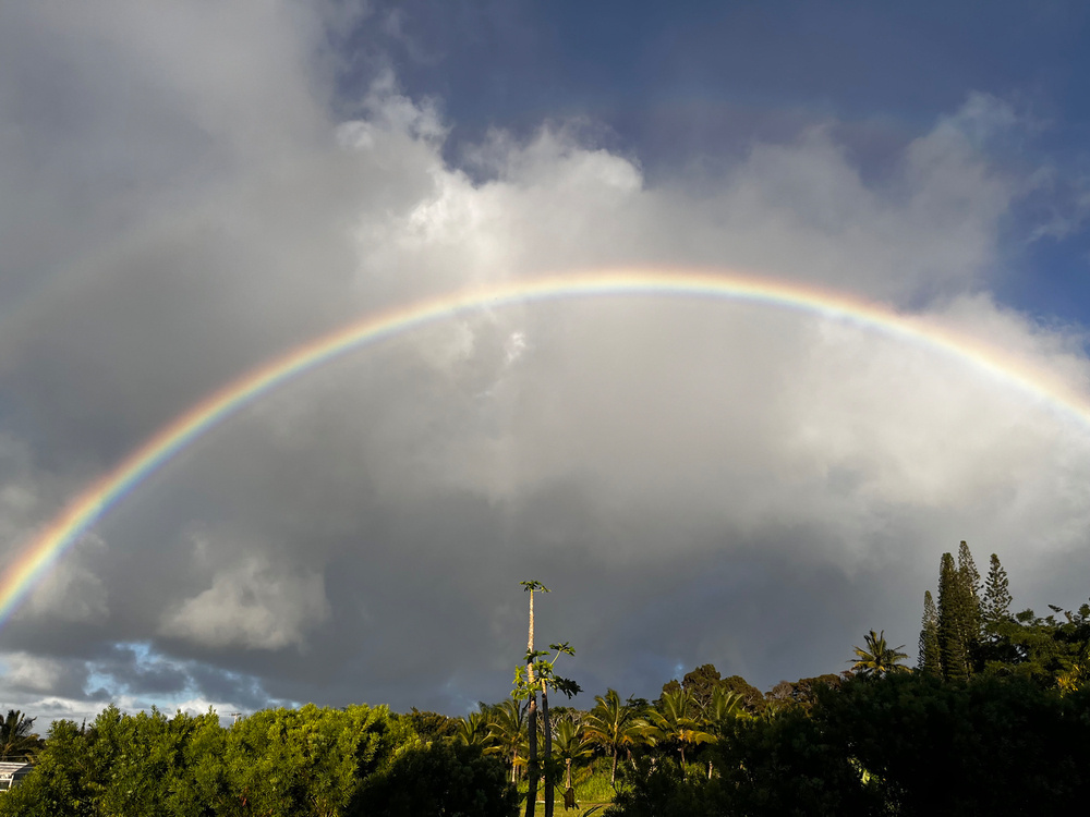 Evening rainbows