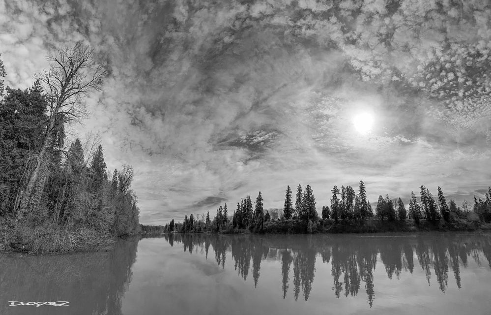 A serene river is lined with tall trees and reflects the cloudy sky and bright sun in a black and white landscape.