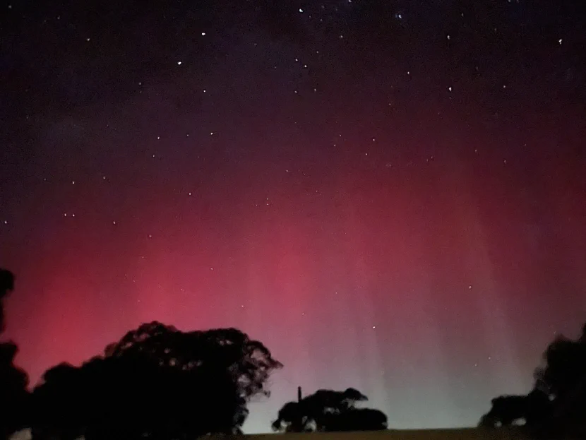 Night sky with stars, pink and green light and vertical light beams, over silhouetted trees