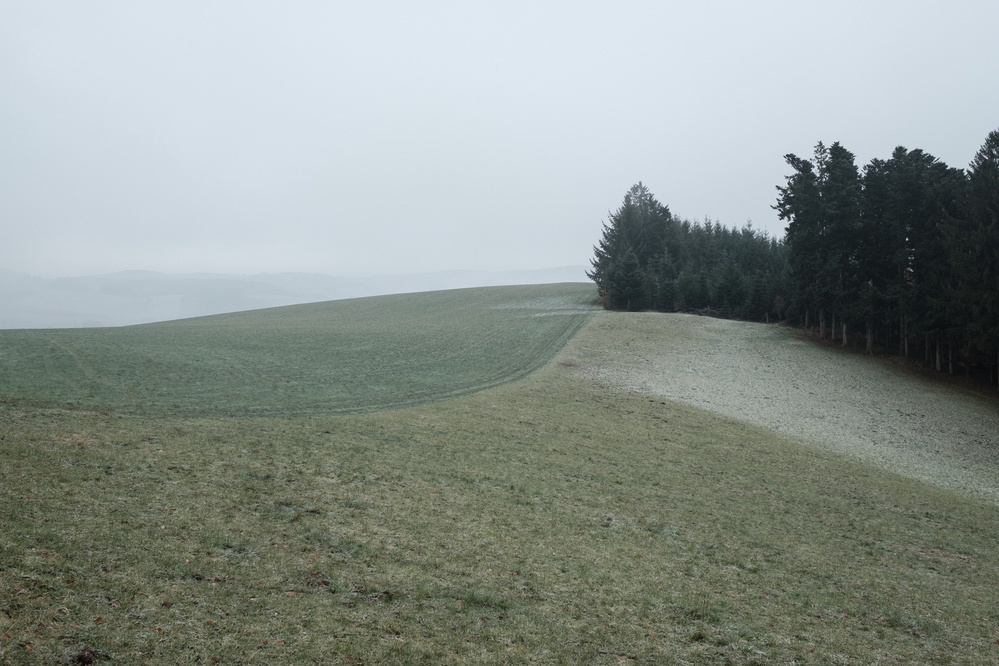 Foreground: Flowing grassy hilltop covered in frost and some snow. Closed off on the right hand side in the near distance by trees. Background: Foggy skies and barely visible hills.
