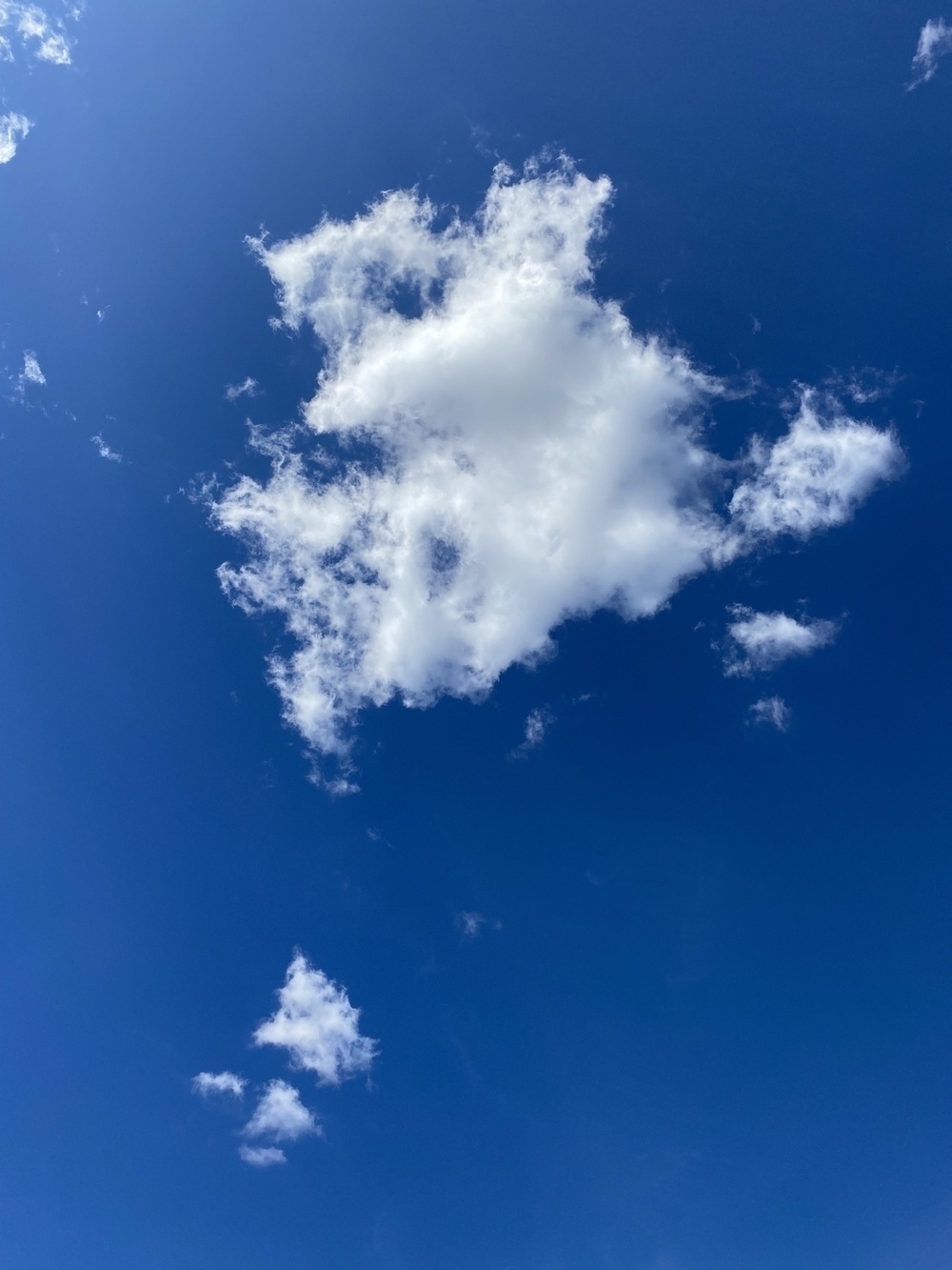puffy clouds in the blue sky