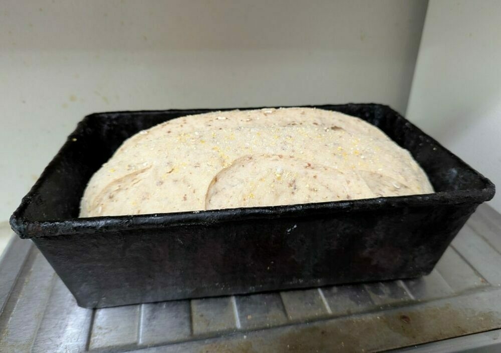A freshly risen loaf of bread, about to go in the oven